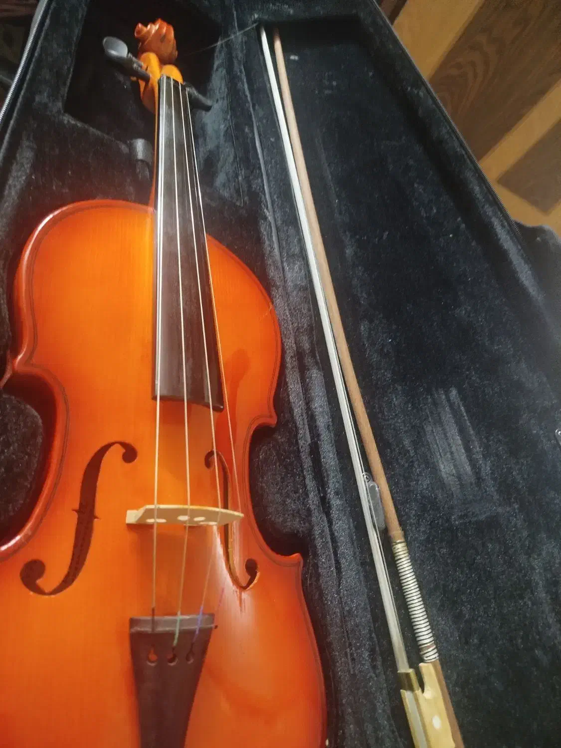 ویولن نو و قدیمی|ویولن|خمینیشهر, |دیوار