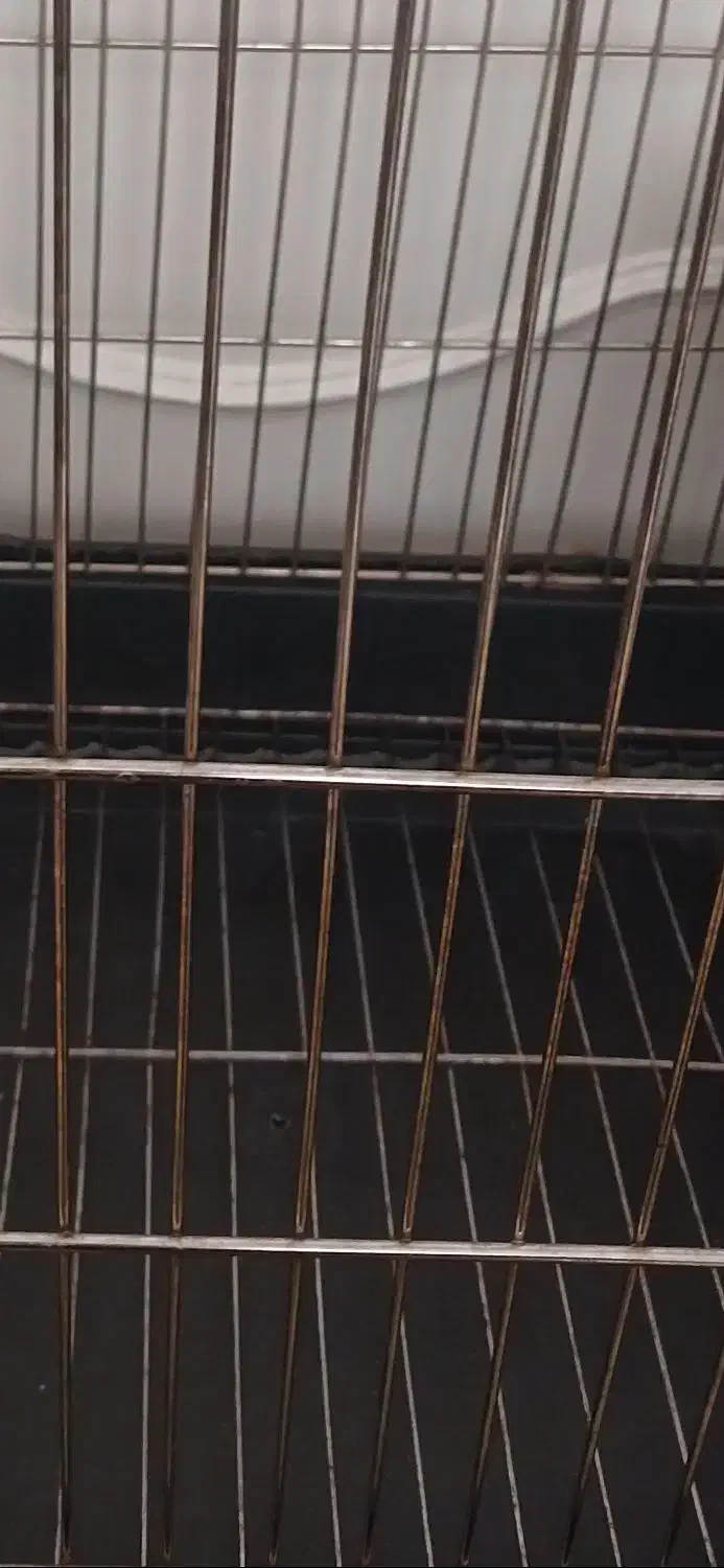 قفس طوطی عروس هلندی|لوازم جانبی حیوانات|تهران, جوادیه تهرانپارس|دیوار