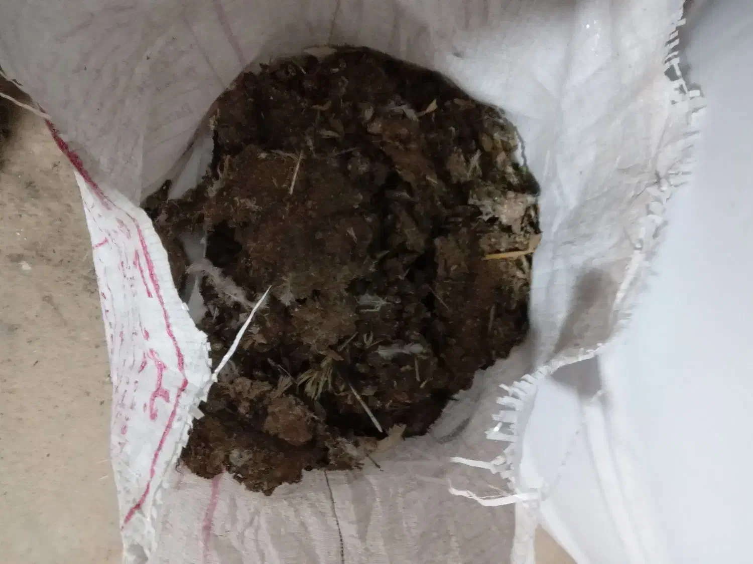 کود مرغی|لوازم جانبی حیوانات|نجف‌آباد, یزدانشهر|دیوار