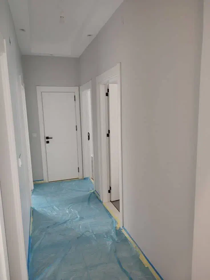 نقاشی ساختمان با بالاترین کیفیت در سریع ترین زمان|خدمات پیشه و مهارت|تالش, هشتپر|دیوار