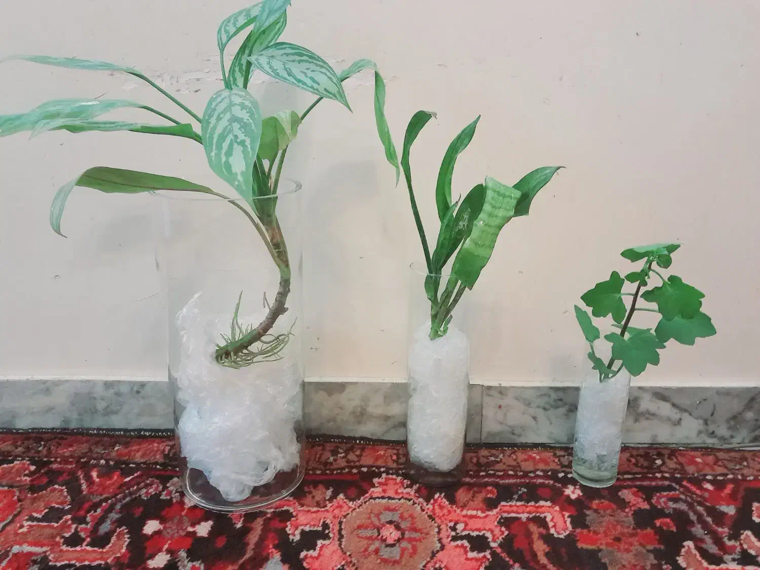 گلدان|صنایع دستی و سایر لوازم تزئینی|تهران, علم و صنعت|دیوار