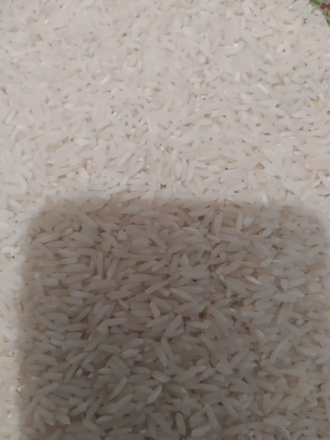 برنج‌طارم|خوردنی و آشامیدنی|گیلان غرب, |دیوار