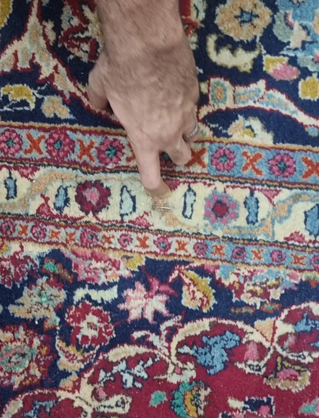 فرش دستی|فرش|تهران, بلوار کشاورز|دیوار