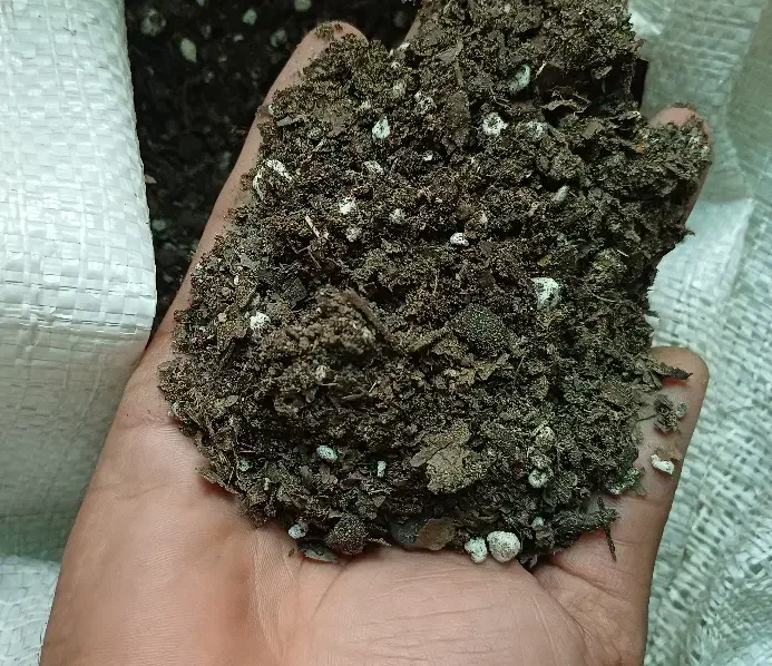 خاک برگ گلدان|گل و گیاه طبیعی|بسطام, |دیوار