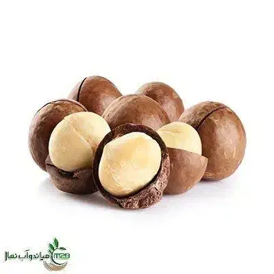 پیش فروش نهال فندق ماکادمیا|خدمات باغبانی و درختکاری|نوشین شهر, |دیوار