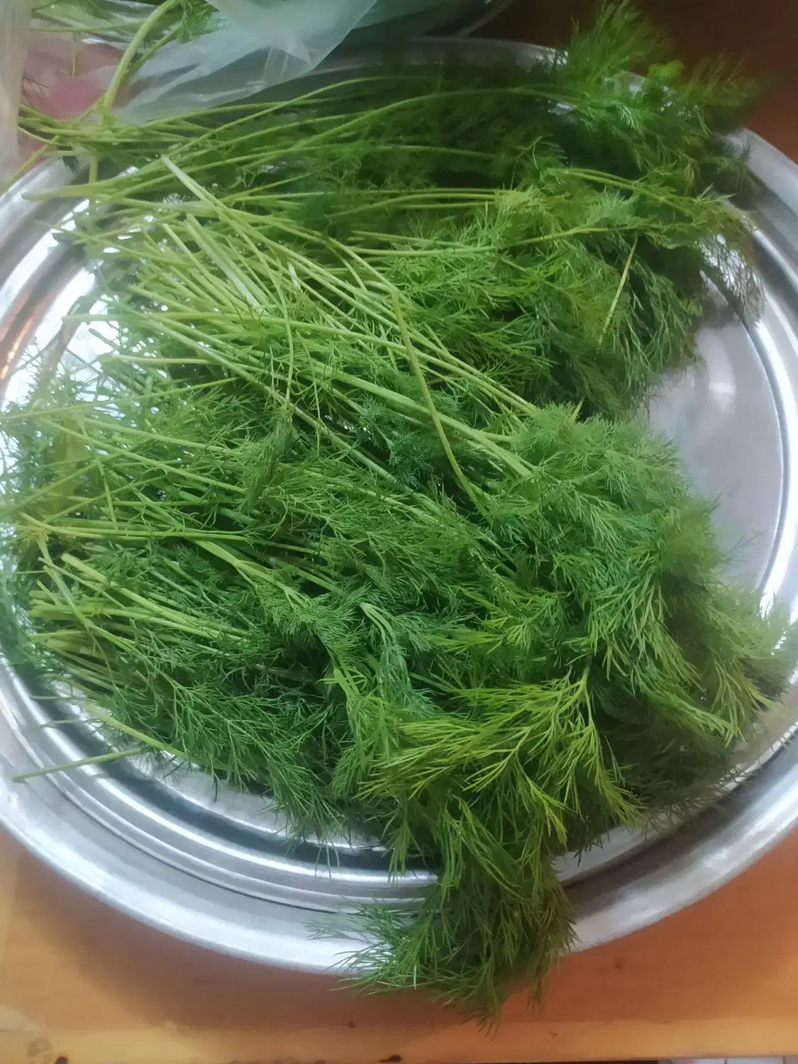 فروش فوری شوید تازه وتمیز|خوردنی و آشامیدنی|امیرآباد, |دیوار