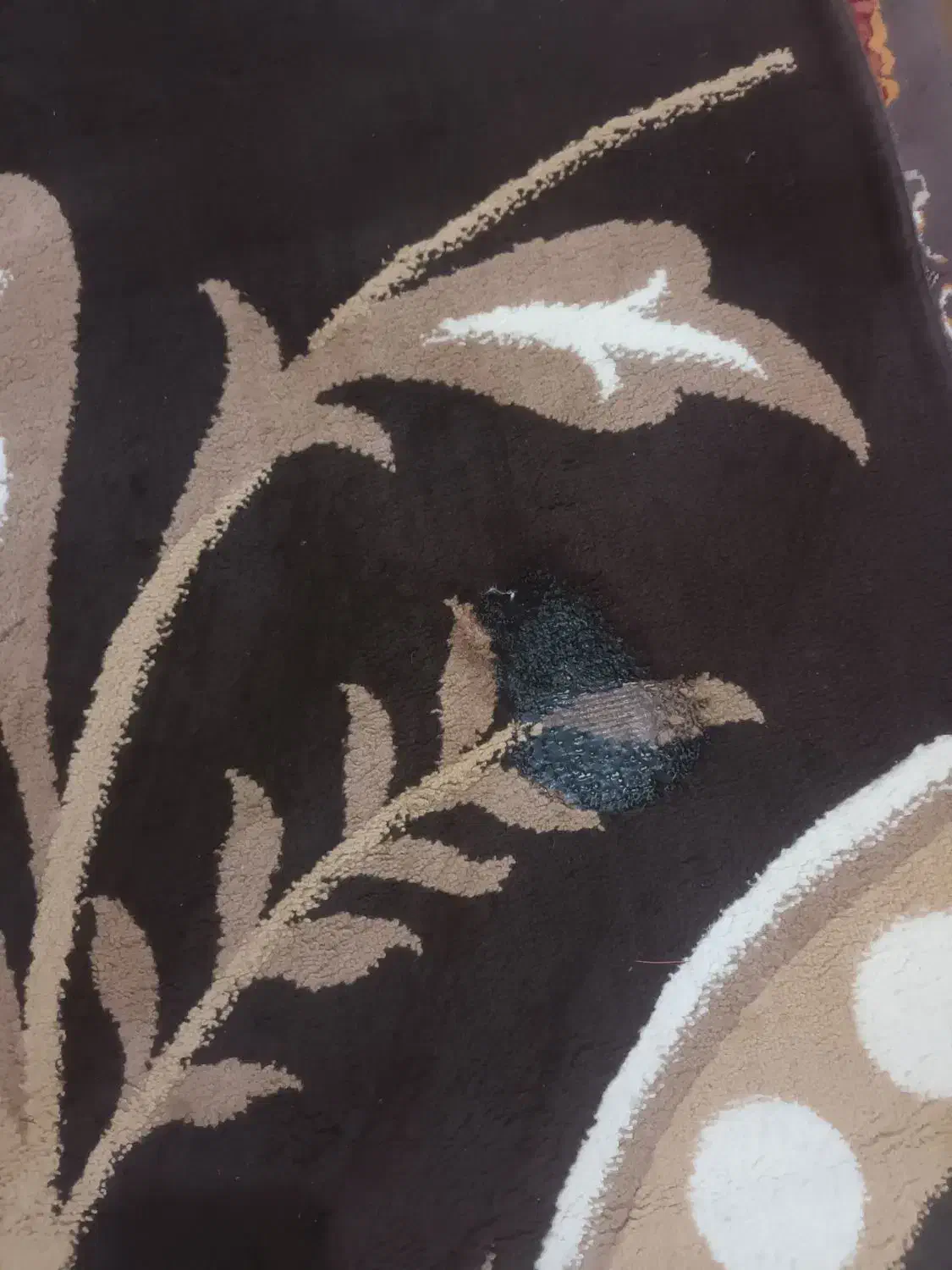 گلیم|گلیم، جاجیم، گبه|تایباد, |دیوار