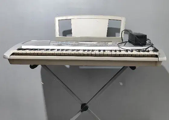 ارگ یاماها حرفه‌ای|پیانو، کیبورد، آکاردئون|شهریار, شهریار|دیوار