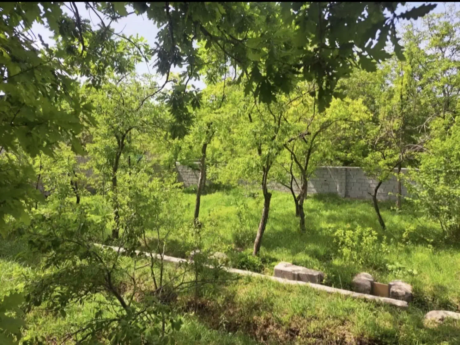 باغ 186متری با گاز و برق و آب در شهر زیبای اسکو|فروش خانه و ویلا|اسکو, |دیوار