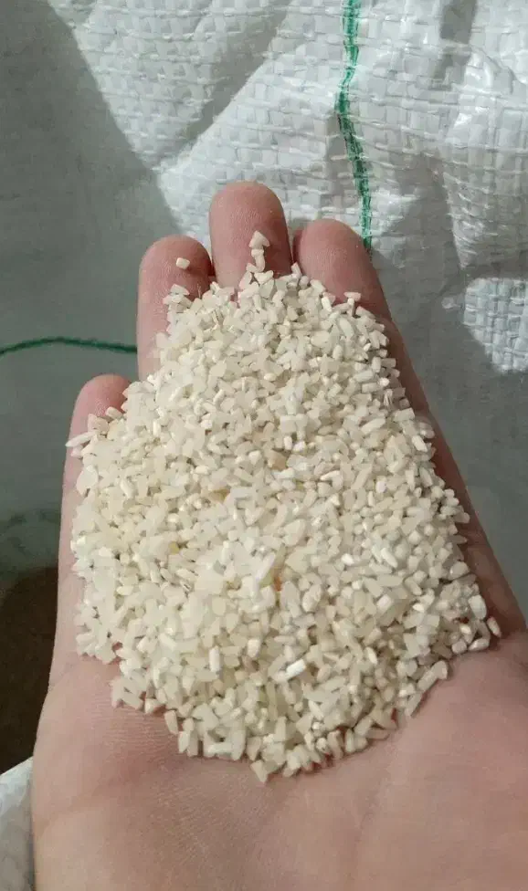 برنج هاشمی کوجنق درجه 1|خوردنی و آشامیدنی|مشگین شهر, |دیوار