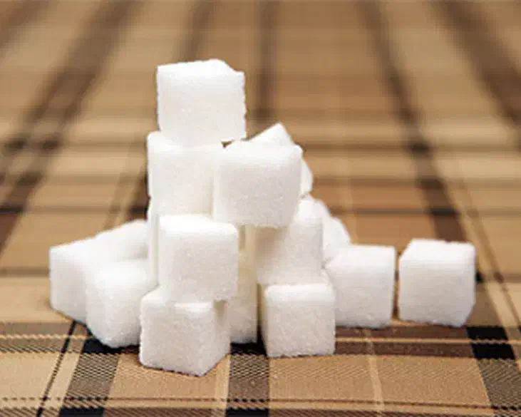 قند زنجان|عمده‌فروشی|قم, چهل درخت‎|دیوار