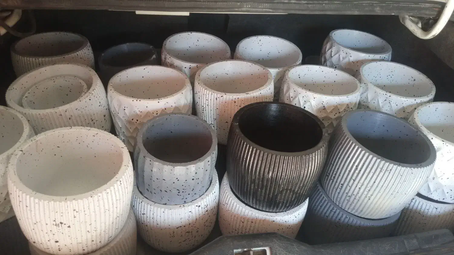 حراج تعدادی گلدان حراج|گل و گیاه طبیعی|سیرجان, |دیوار