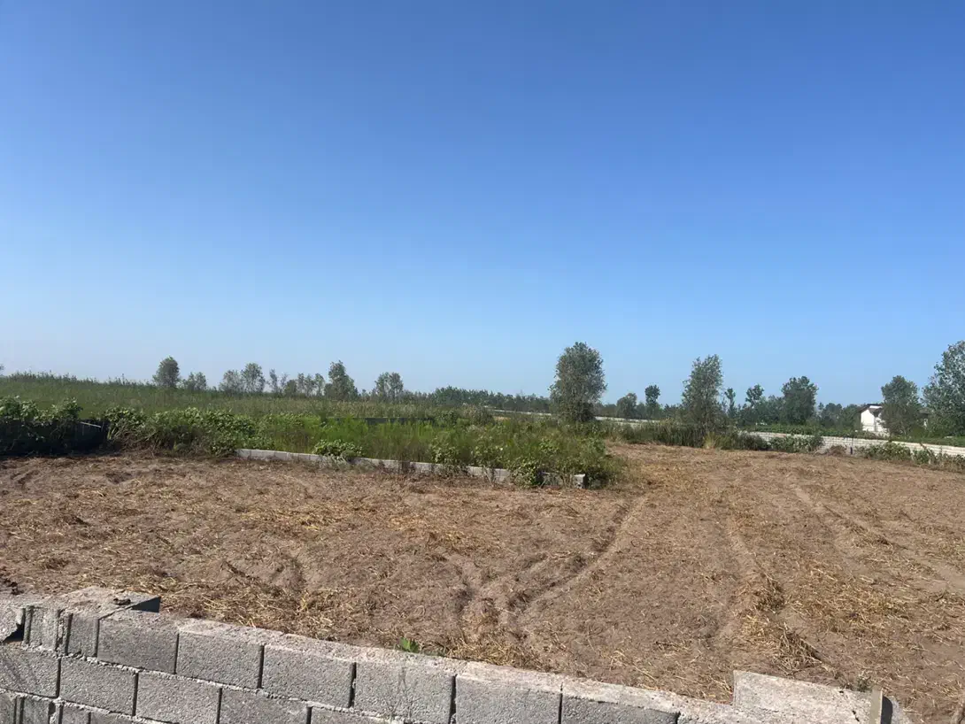 ۱۸۰ متر زمین در چاف باقیمت کاسبی|فروش زمین و ملک کلنگی|چاف و چمخاله, |دیوار