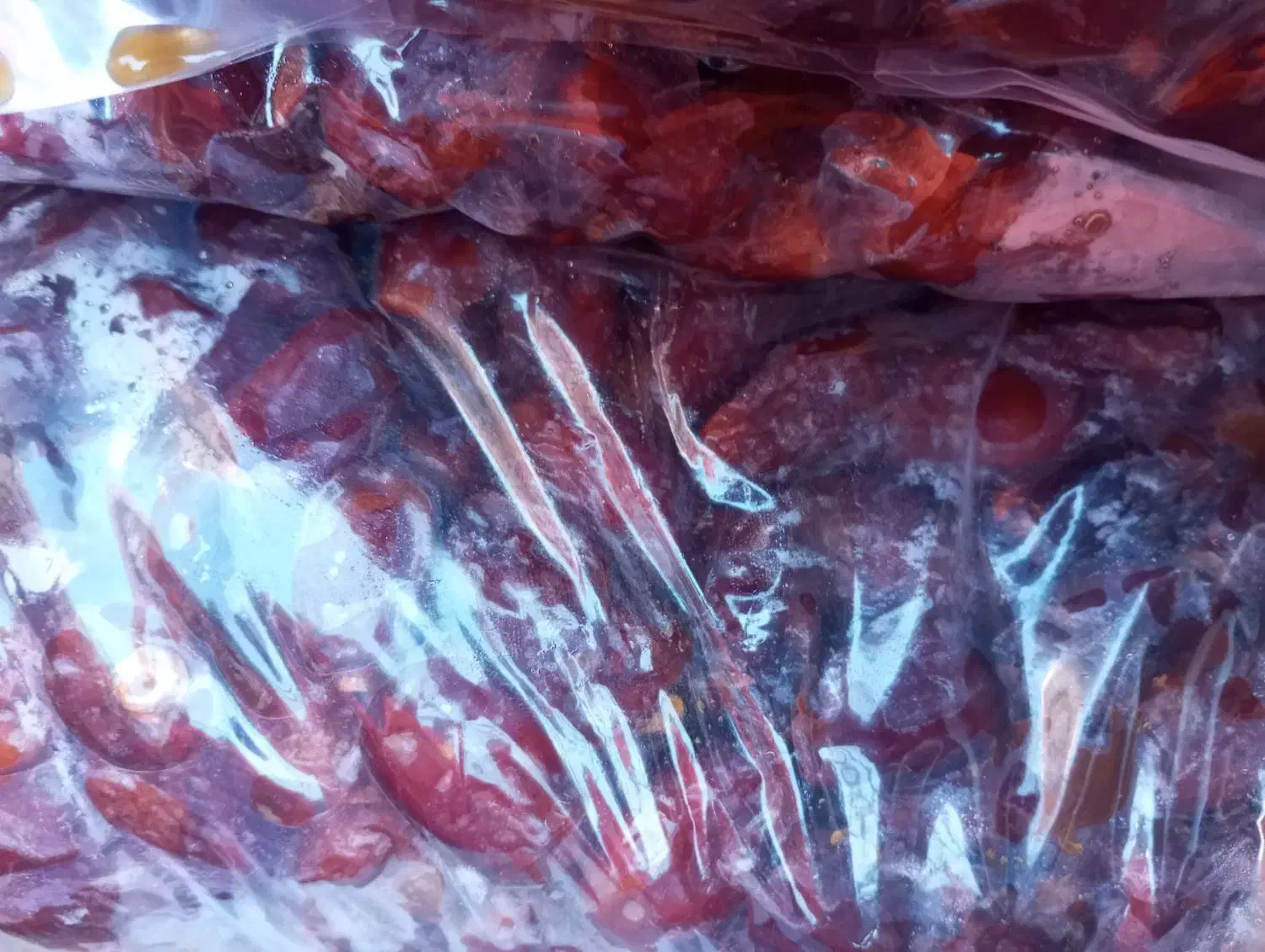 خرما ارزان|خوردنی و آشامیدنی|مهریز, |دیوار