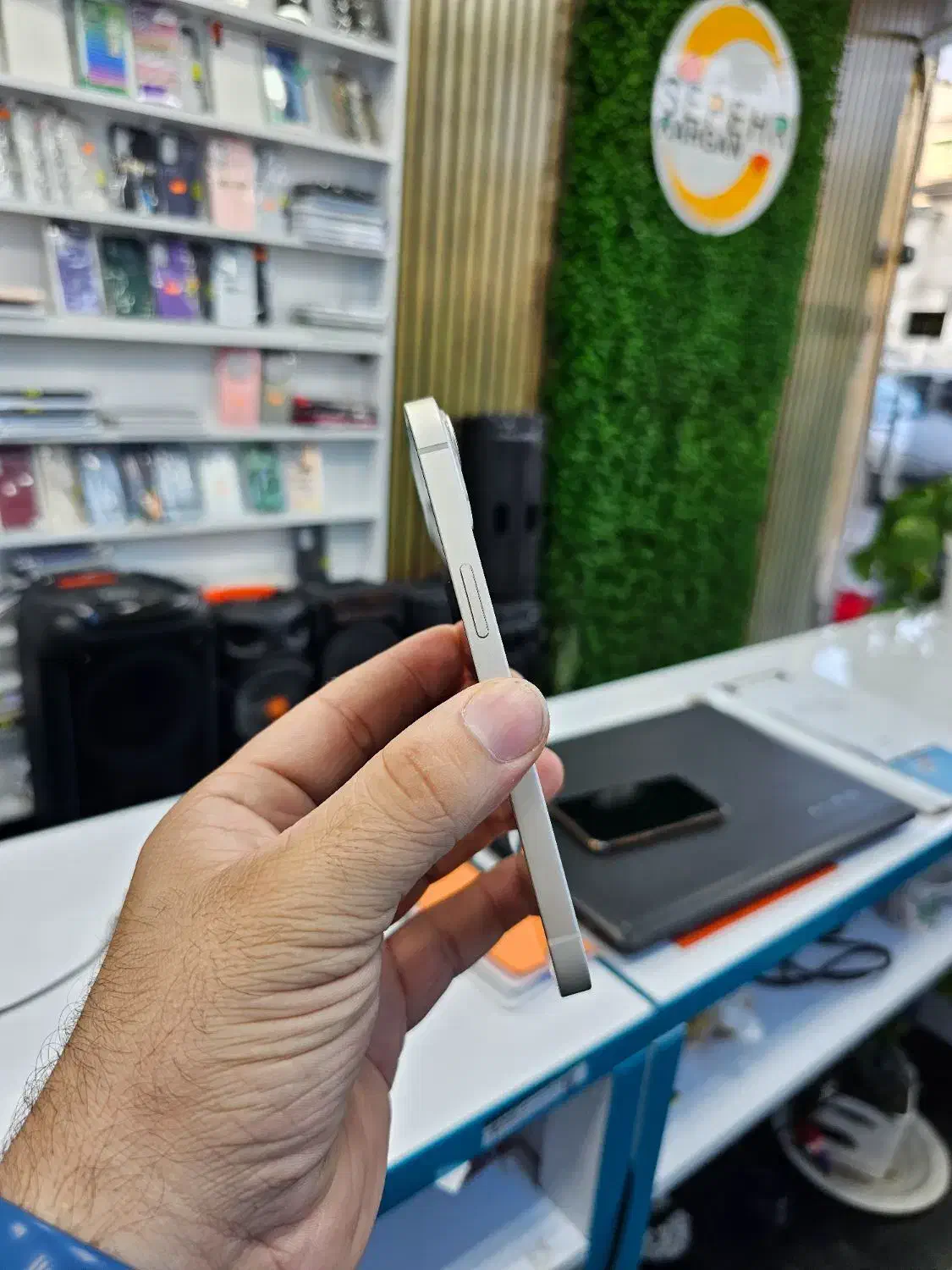 iphone 13|موبایل|رشت, حاجی آباد|دیوار