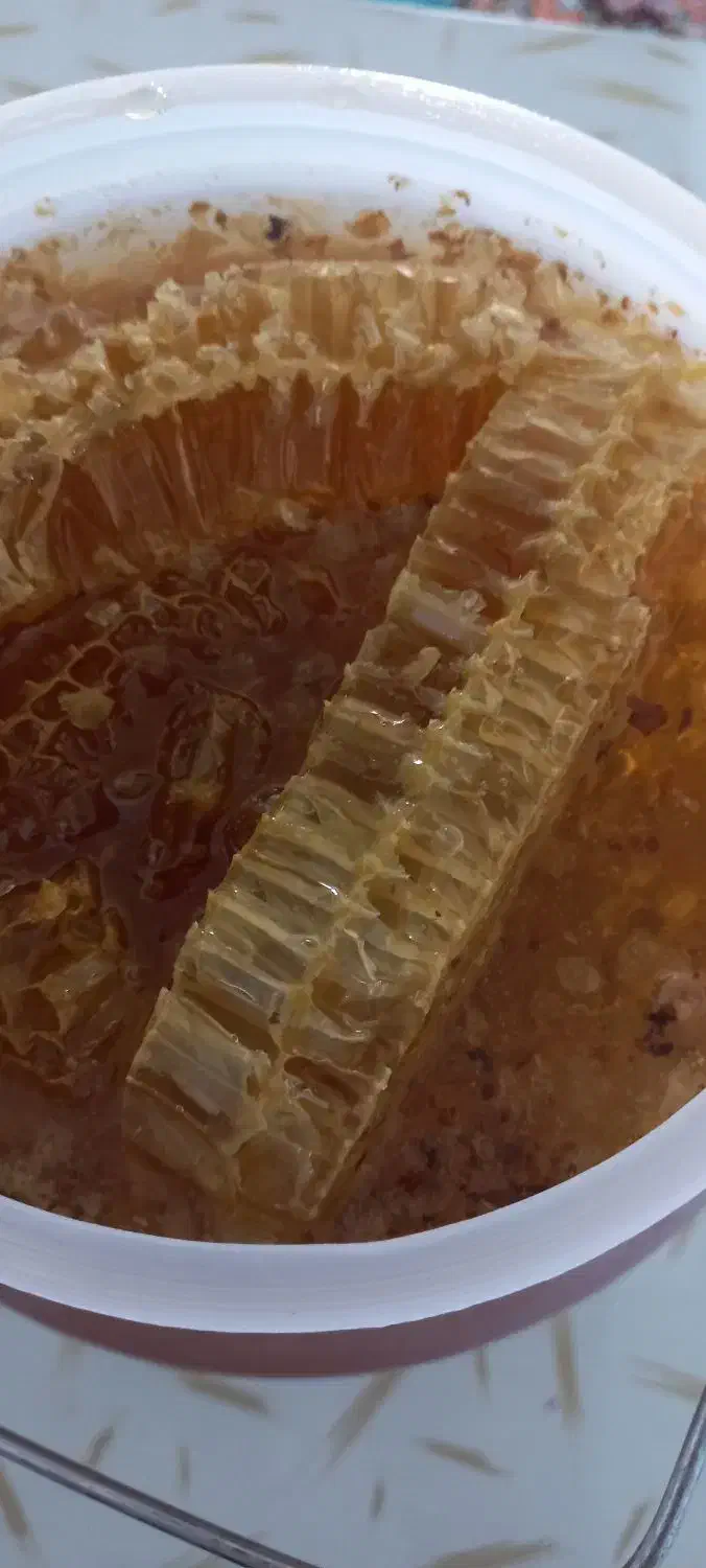 عسل طبیعی|خوردنی و آشامیدنی|یاسوج, |دیوار