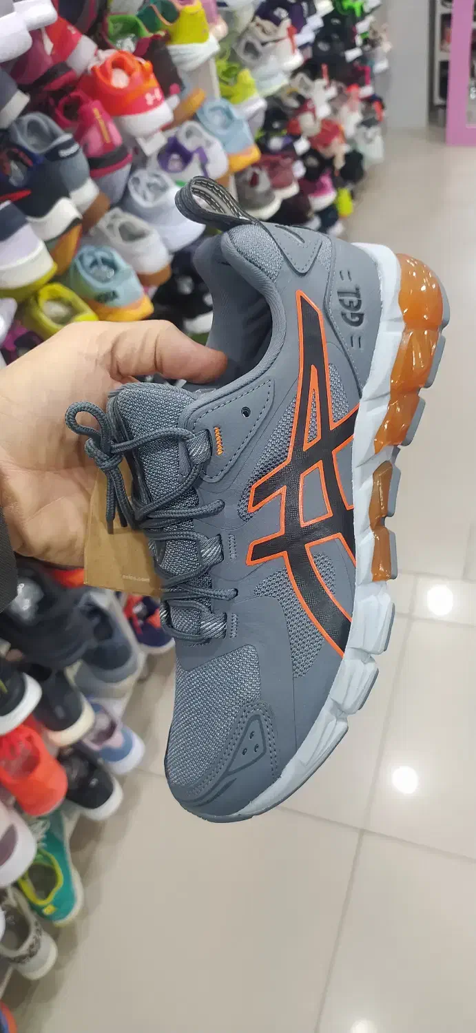 کتونی|کیف، کفش، کمربند|سردشت, |دیوار