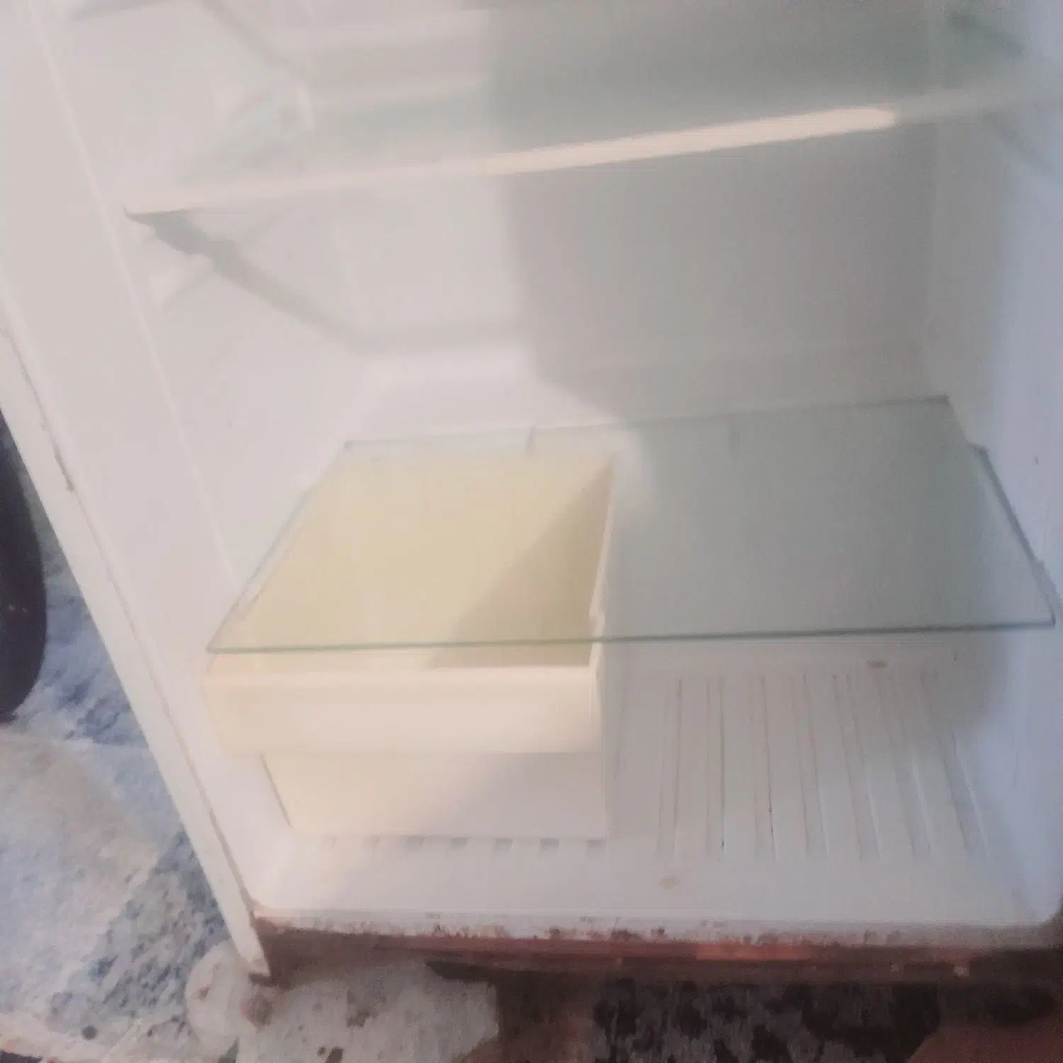 یخچال|یخچال و فریزر|کهنوج, |دیوار