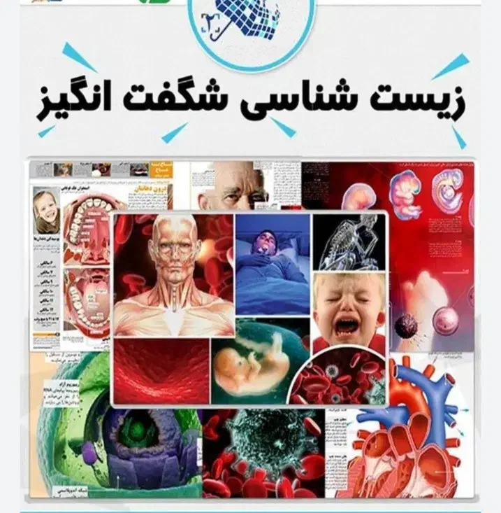تدریس خصوصی|خدمات آموزشی|اردبیل, |دیوار