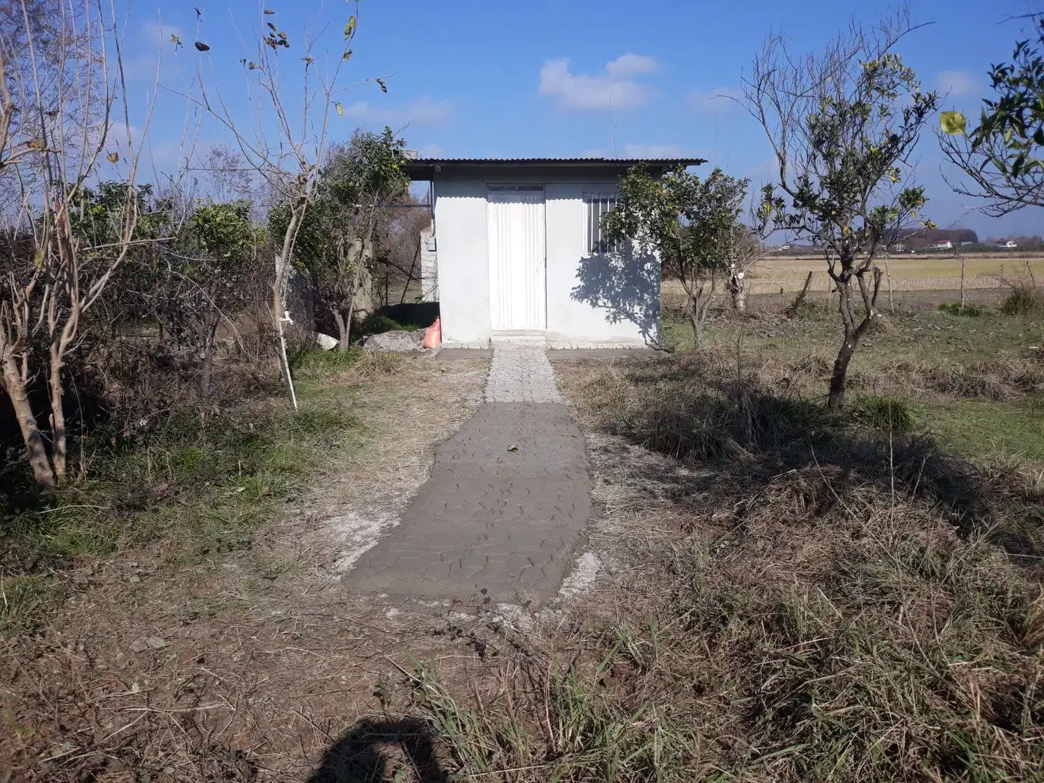 زمین فروشی ، لهرم تلوک مازندران|فروش زمین و ملک کلنگی|ارطه, |دیوار