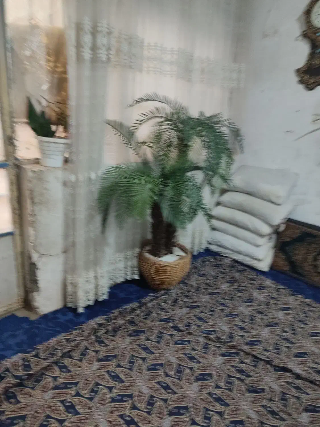 درختچه نخل و گلدان|گل مصنوعی|قم, نیروگاه|دیوار
