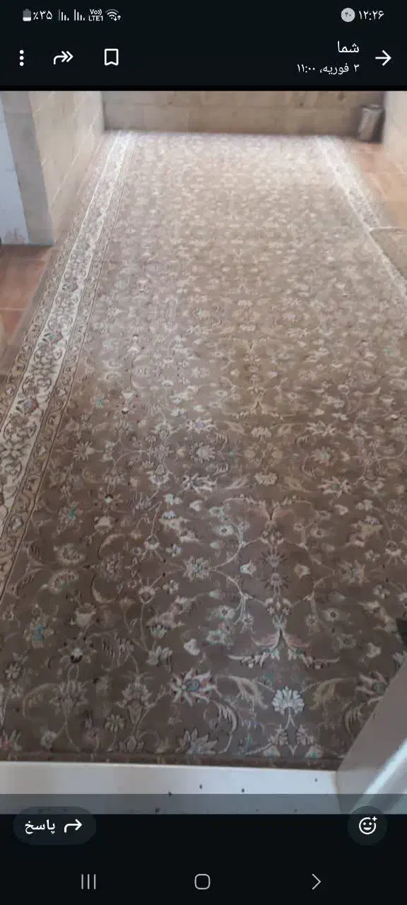 فرش کناره|فرش|یزد, |دیوار