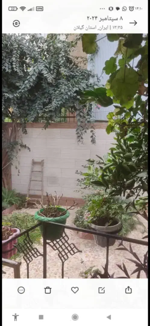 خانه ویلایی ۱۷۲ متر بازسازی شده|فروش خانه و ویلا|رشت, شالکو|دیوار