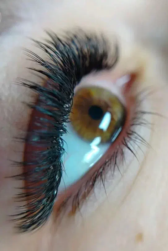 جشنواره اموزش اکستنشن مژه فقط سه میلیون|خدمات آموزشی|اردبیل, |دیوار