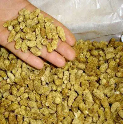 توت خشک امسالی / شیرین ۱۷۰/۰۰۰ سایه خشک|خوردنی و آشامیدنی|قم, ولیعصر|دیوار