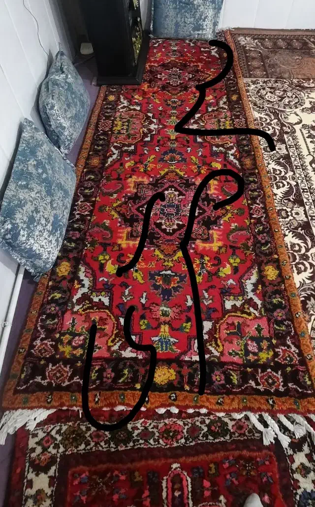 فرش دستباف|فرش|تبریز, |دیوار