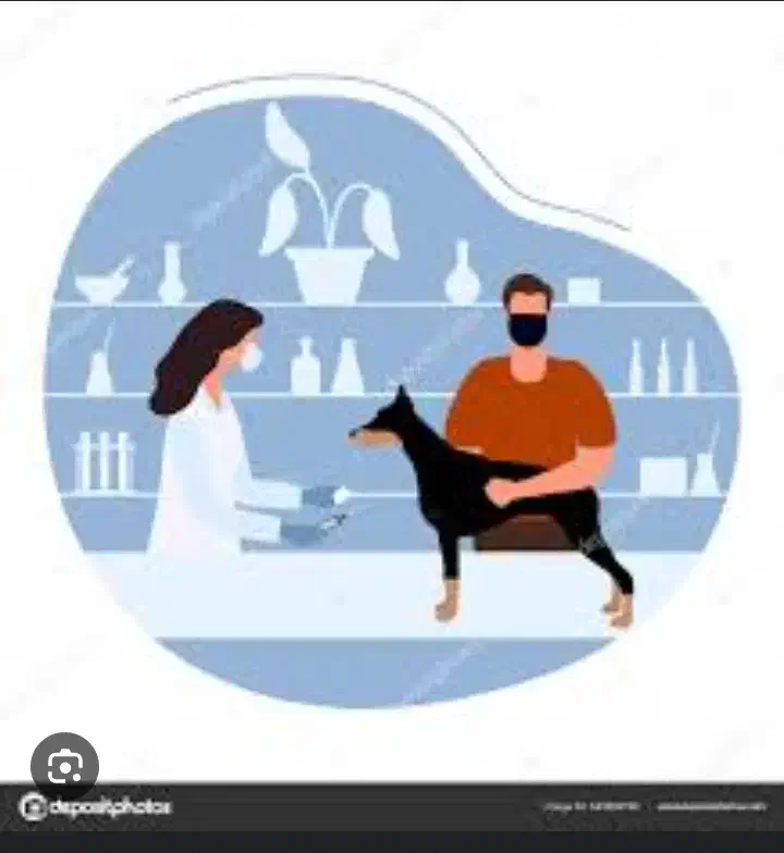 منشی کلینیک دامپزشکی حیوانات خانگی|استخدام درمانی، زیبایی، بهداشتی|شهریار, شهریار|دیوار