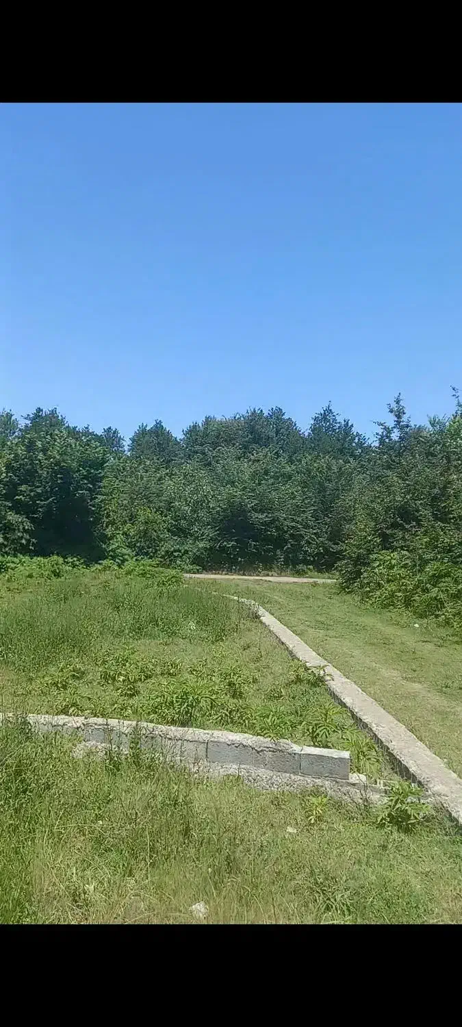 ۲۵۱متر زمین دارای پروانه ساخت کنار رودخونه|فروش زمین و ملک کلنگی|املش, |دیوار