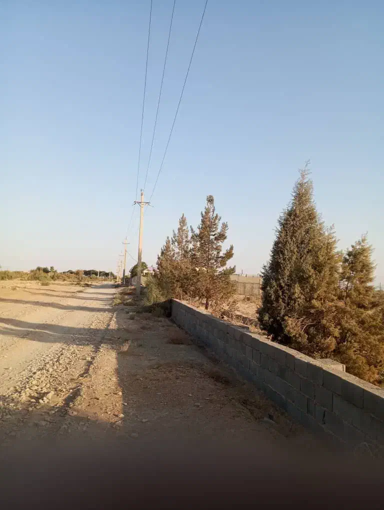 ۶۰۰۰ متر زمین نصف پسته کاری شده ،نصف خالی|فروش زمین و ملک کلنگی|جوادآباد, |دیوار