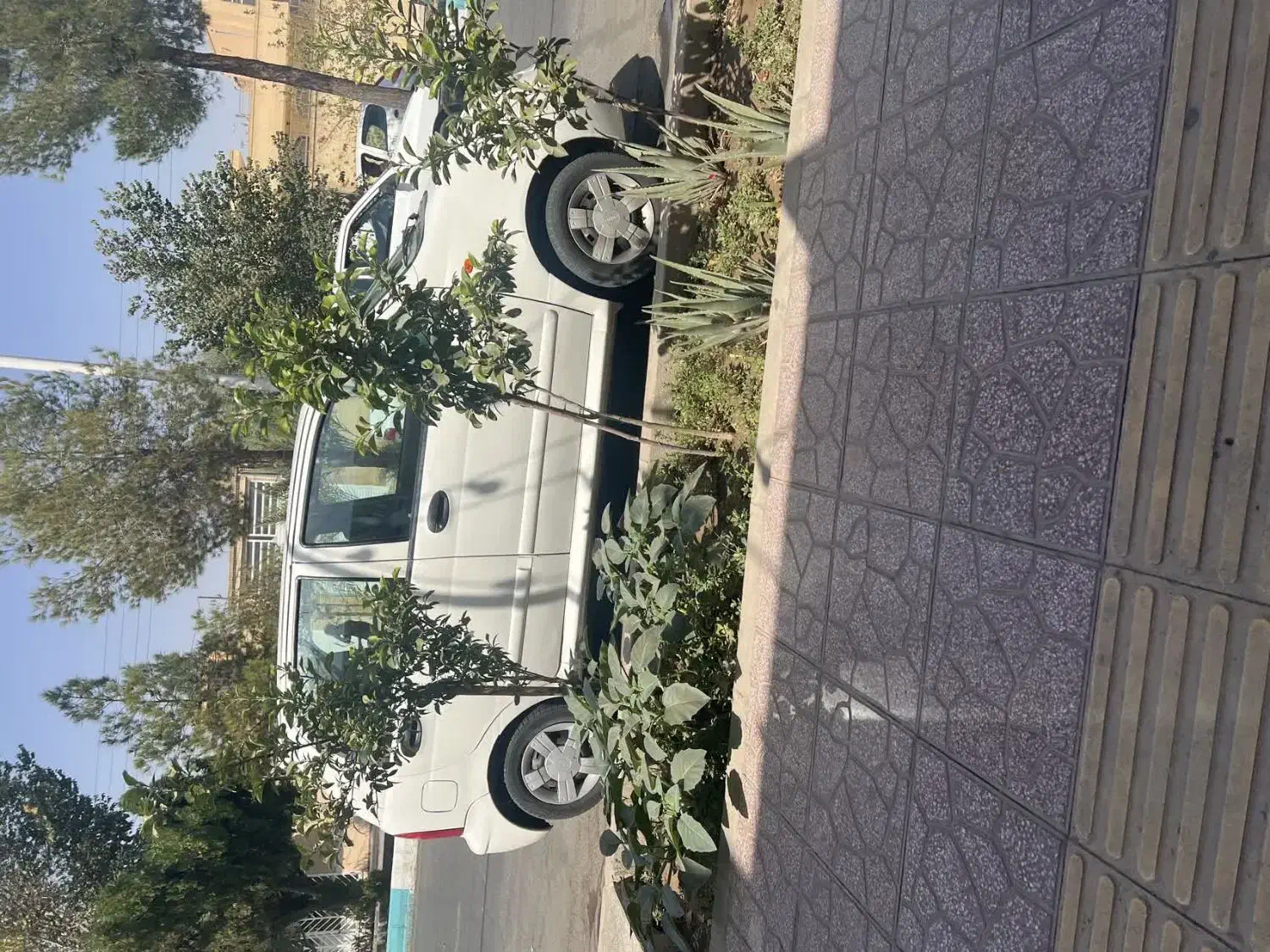 mvm110|خودرو سواری و وانت|یزد, |دیوار