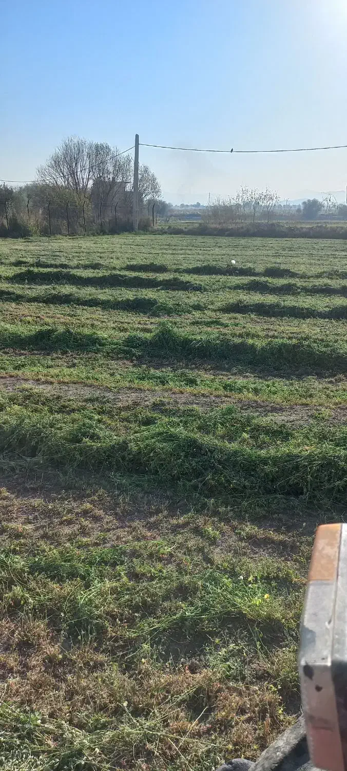 کاه یونجه درجه یک بیشتر گل هست|لوازم جانبی حیوانات|بروجرد, |دیوار