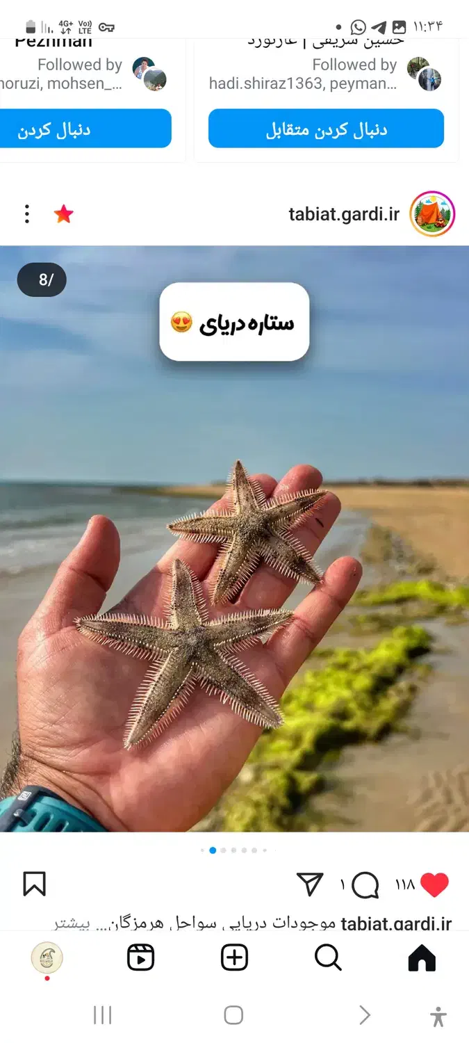 تور ۲/۵روزه سفر به لاوان و مارو ۲۱تا۲۳ آبان|تور و چارتر|شیراز, جمهوری|دیوار