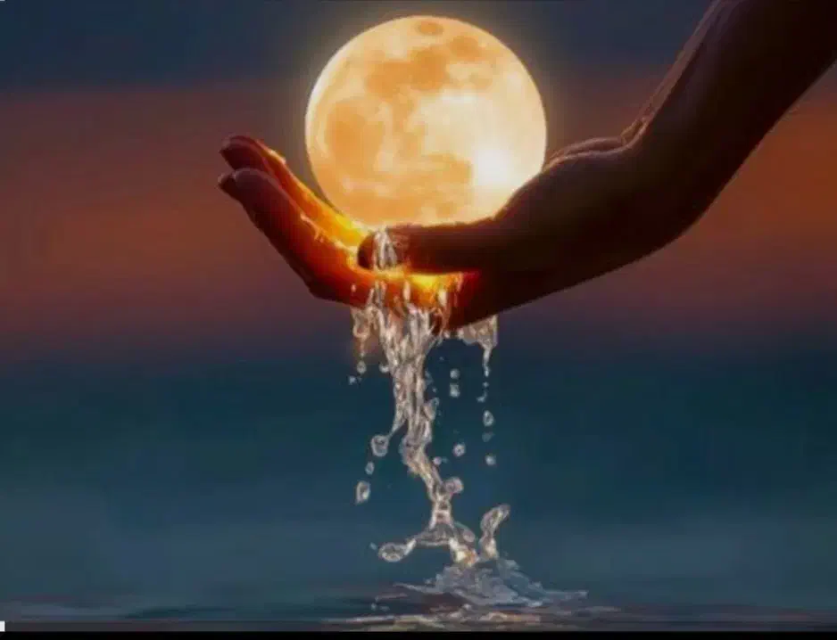 داوطلبانه|فعالیت داوطلبانه|گلستان (تهران), |دیوار