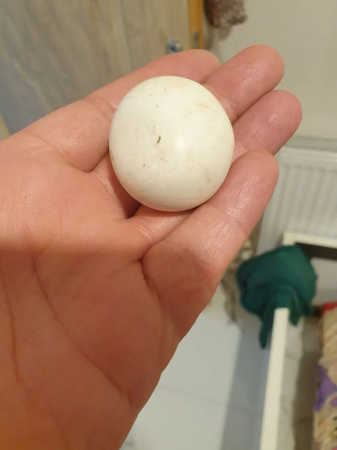 سنگ الماس آسیاب|جواهرات|شاهدشهر, |دیوار