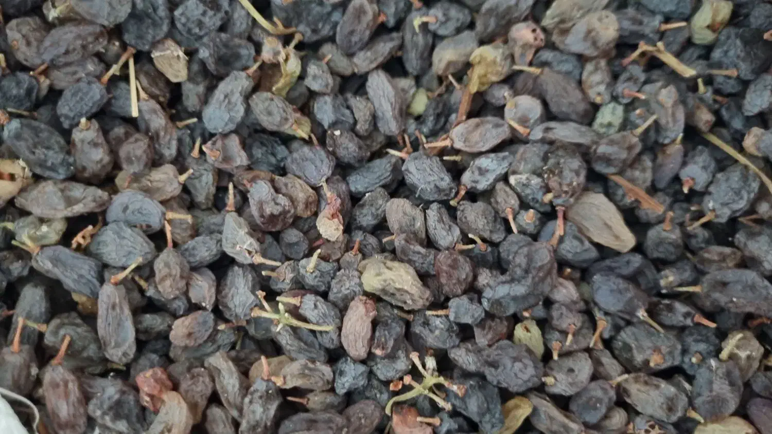 کشمش آفتابی وکشمش پلویی بوانات،باغدار|خوردنی و آشامیدنی|شیراز, رکنآباد|دیوار