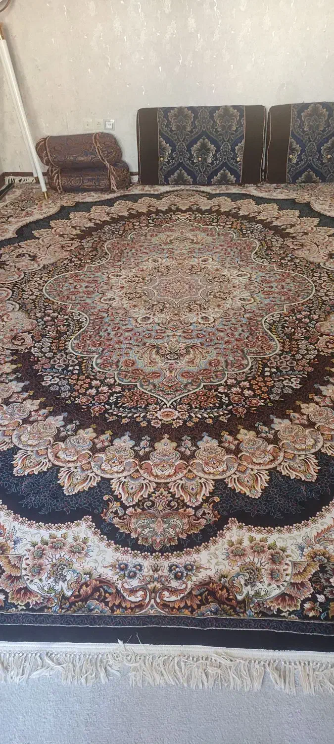 فرش ۱۲ متری|فرش|مرودشت, ولایت|دیوار