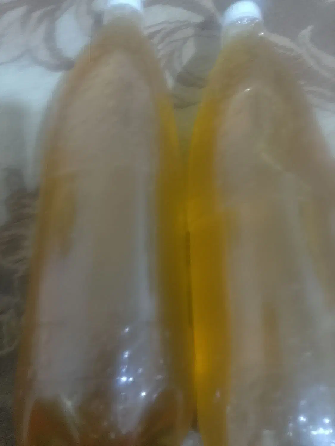 عسل وحشی و طبیعی|خوردنی و آشامیدنی|پسکوه, |دیوار