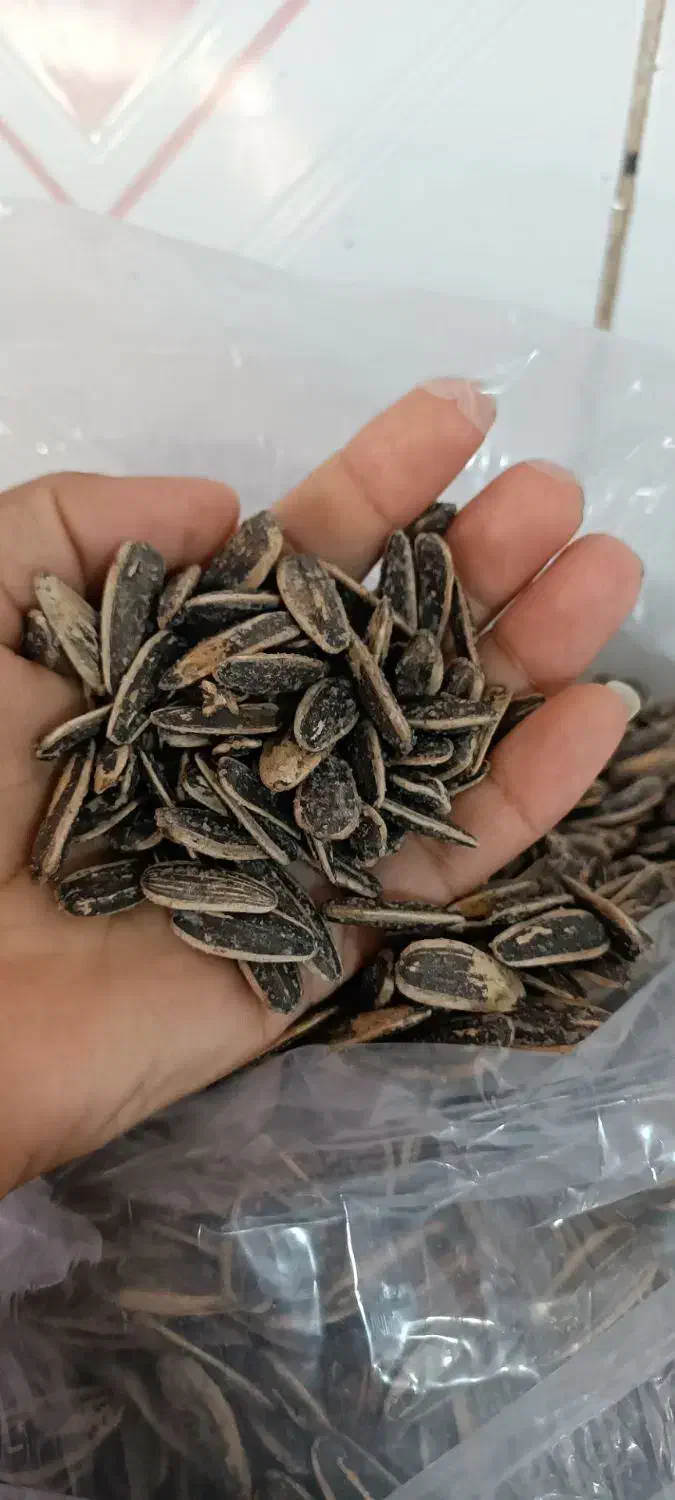 تخمه ۱۹۰ عمده|خوردنی و آشامیدنی|نیشابور, ده حلاج|دیوار