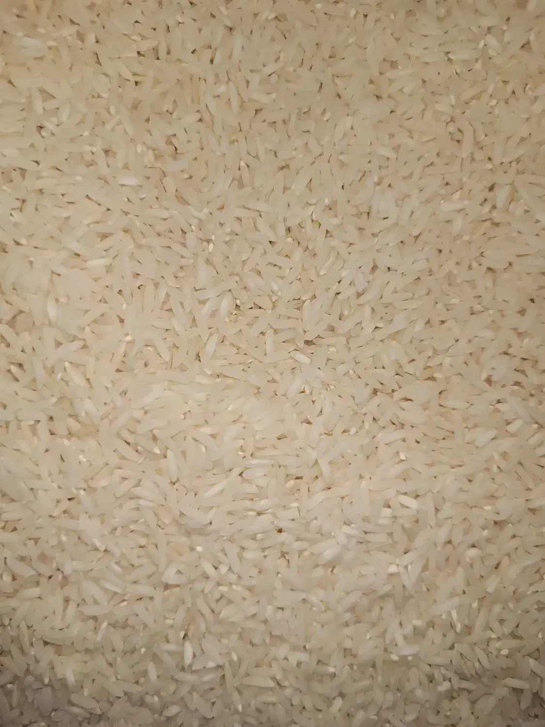 برنج هاشمی|خوردنی و آشامیدنی|رشت, شهرک قدس|دیوار