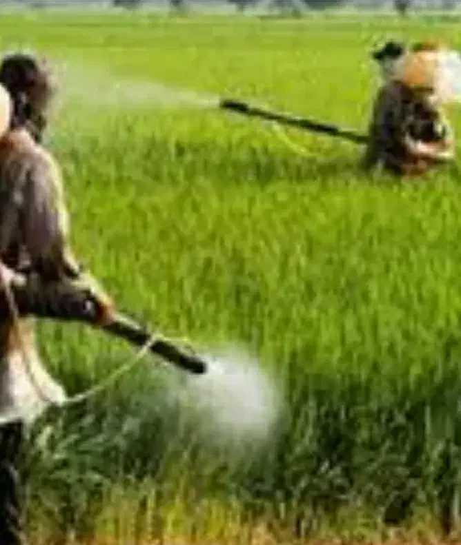 خدمات کشاورزی و باغداری|خدمات باغبانی و درختکاری|سامان, |دیوار