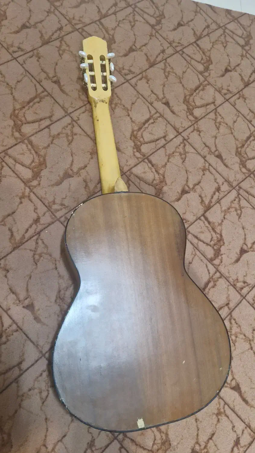 گیتار دالاهو اموزشی|گیتار، بیس، امپلیفایر|گنبد کاووس, |دیوار