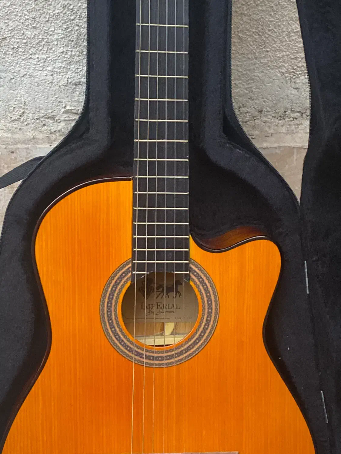 گیتار|گیتار، بیس، امپلیفایر|تهران, دولاب|دیوار