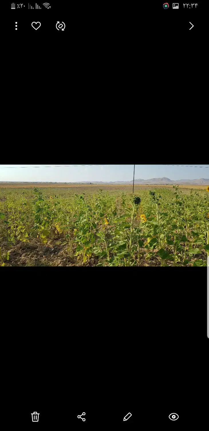 فروش زمین زراعی|فروش دفتر صنعتی، کشاورزی، تجاری|نمین, |دیوار