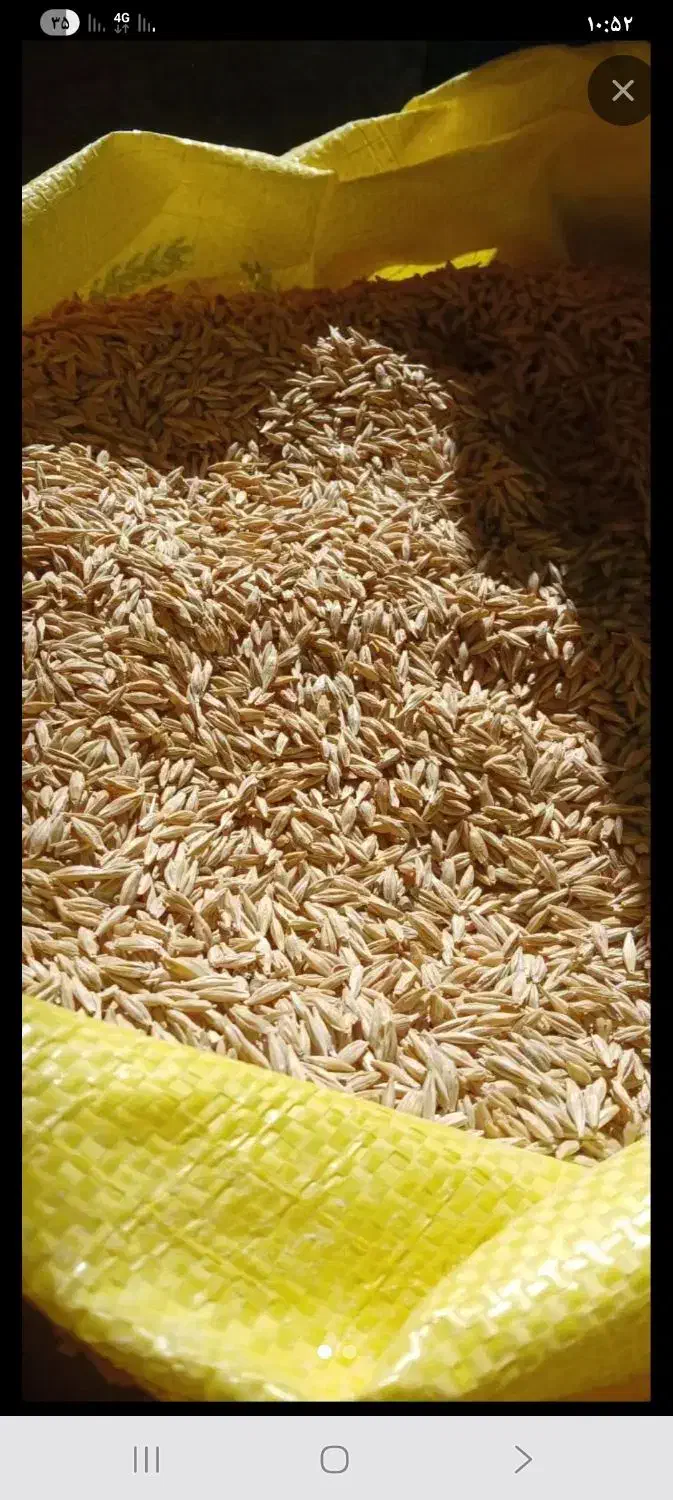 جو آبی|لوازم جانبی حیوانات|شیرینسو, |دیوار