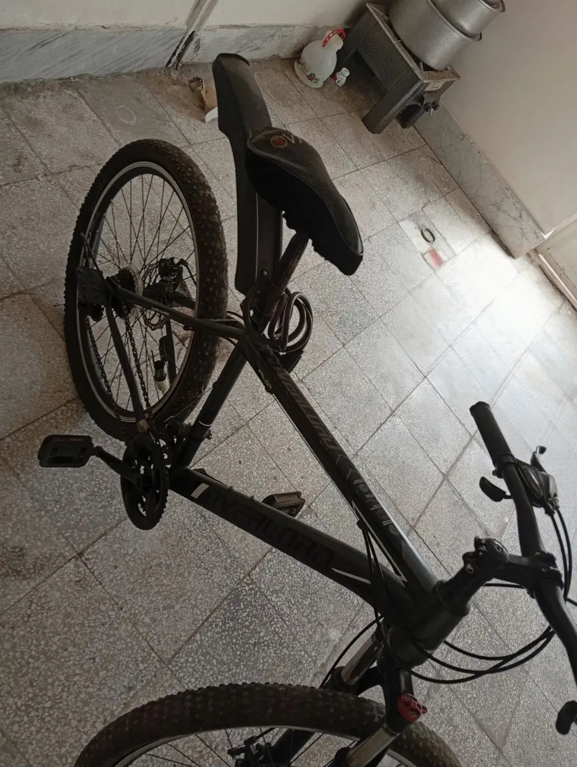 دوچرخه|دوچرخه، اسکیت، اسکوتر|تربت‌حیدریه, شهرک ولیعصر|دیوار