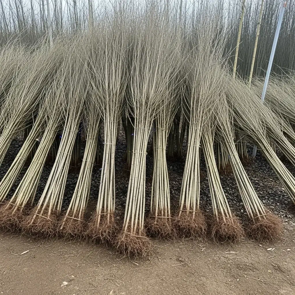 قلمه تبریزی|حراج|اقلید, |دیوار